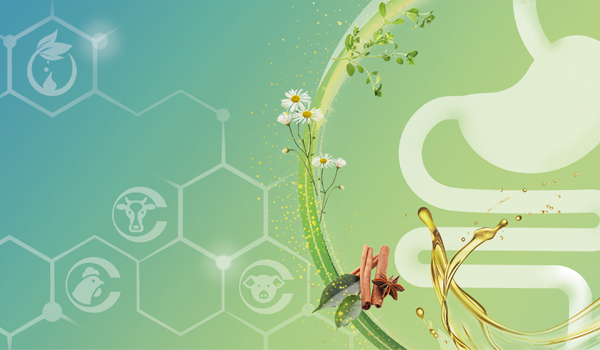 Selected botanicals
